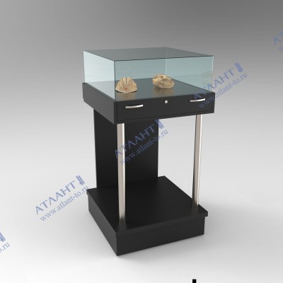 Витрина музейная ПМ5-600мм